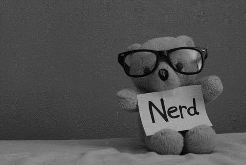 nerd bear