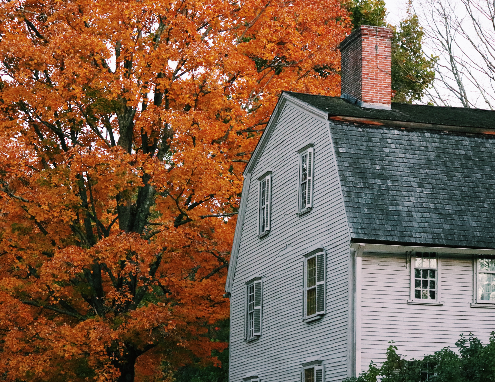 The House Campbell Teague