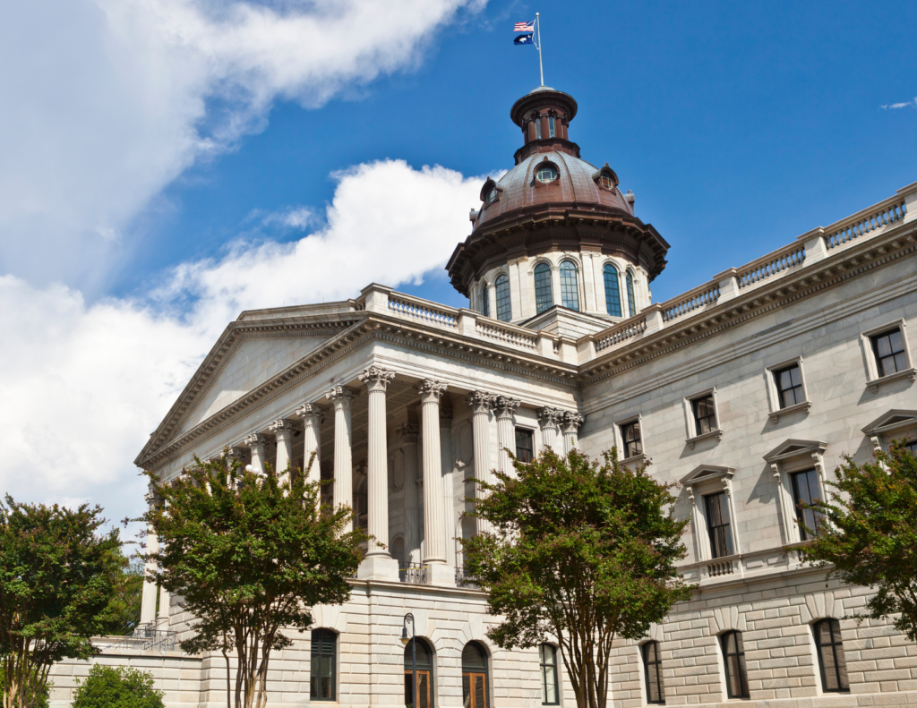 Suing a Business Partner in South Carolina: Why the Wrong Lawsuit Gets Dismissed 